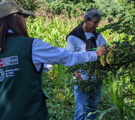 Cultivo Orgánico